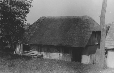 eika image